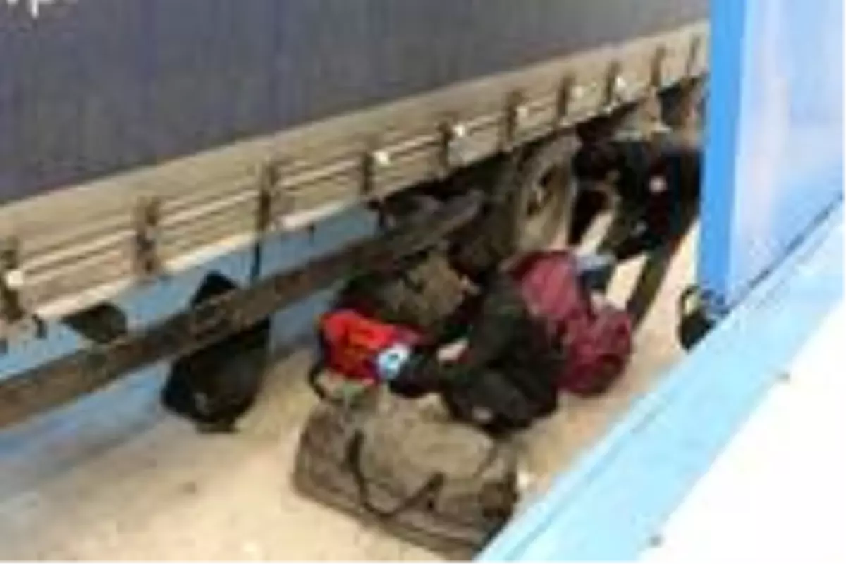 Hamzabeyli\'de 24 milyon 650 bin adet makaron ile 44 kilogram esrar ele geçirildi