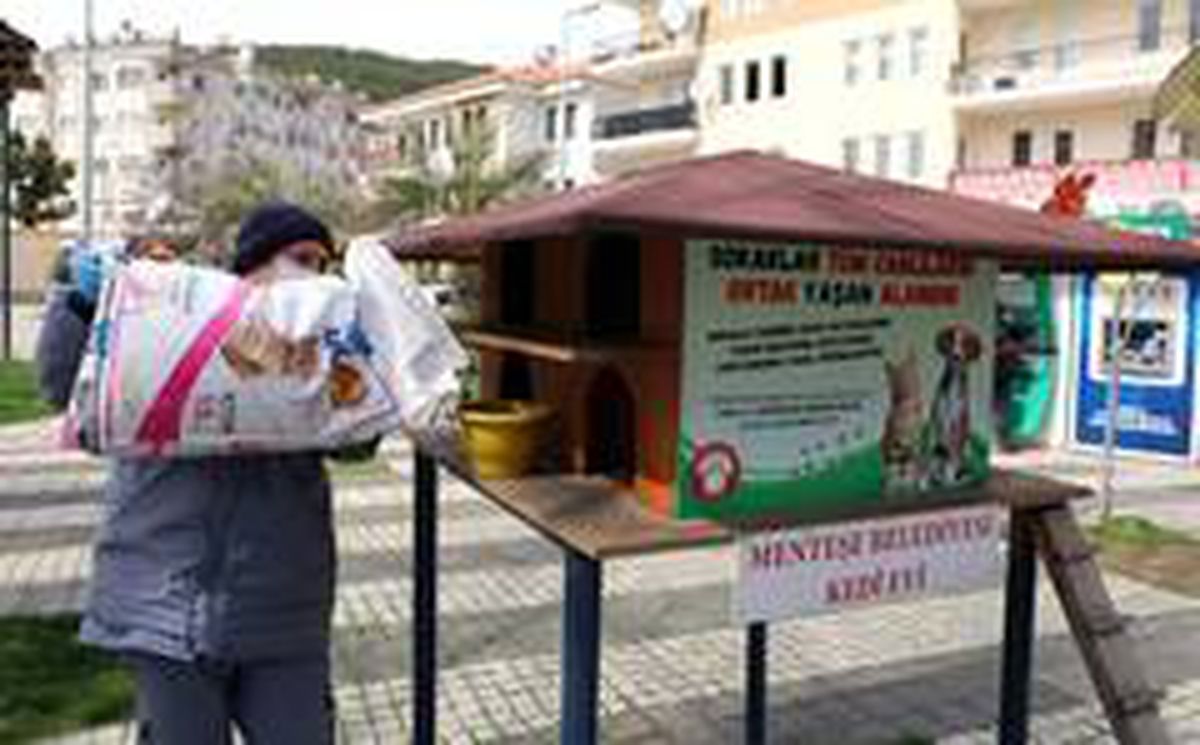 Menteşe\'de \'Can Dostlara\' mama takviyesi