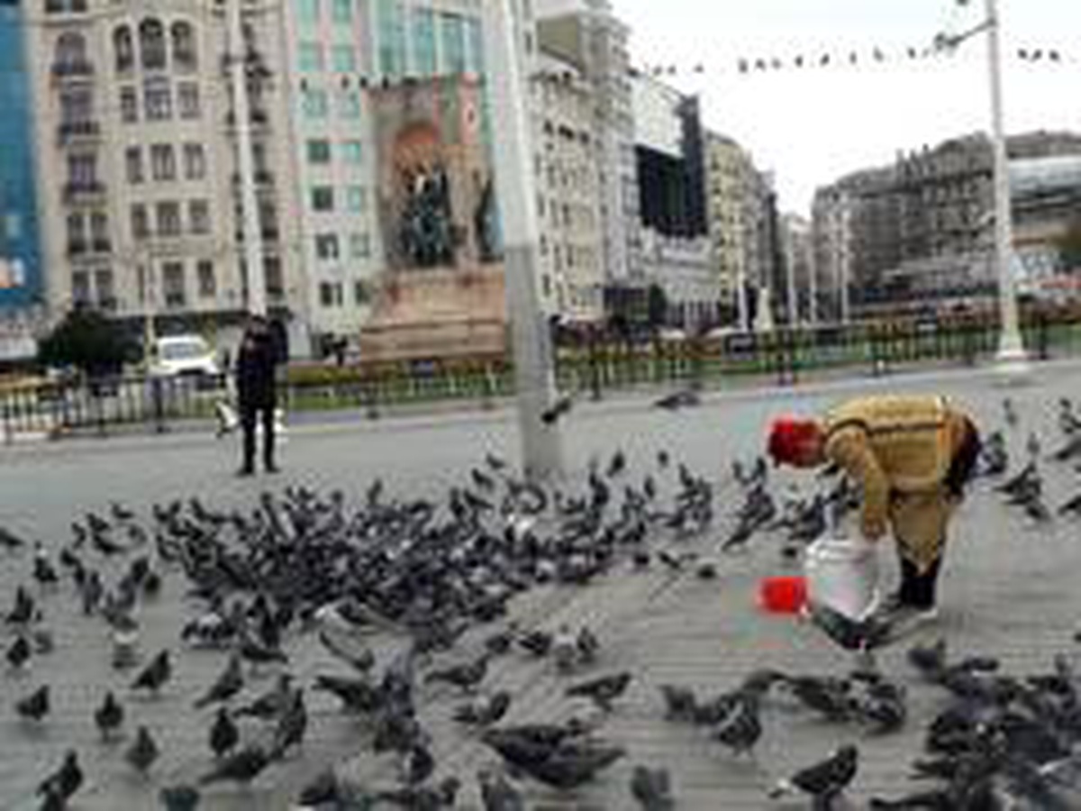 Taksim\'de aç kalan güvercinleri beslediler