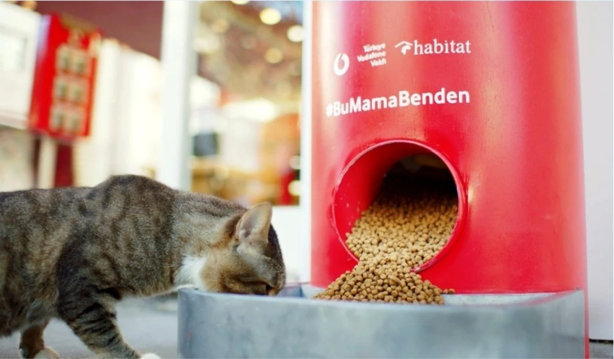 Türkiye Vodafone Vakfı\'ndan \'Salgında sokak hayvanlarını unutma\' çağrısı