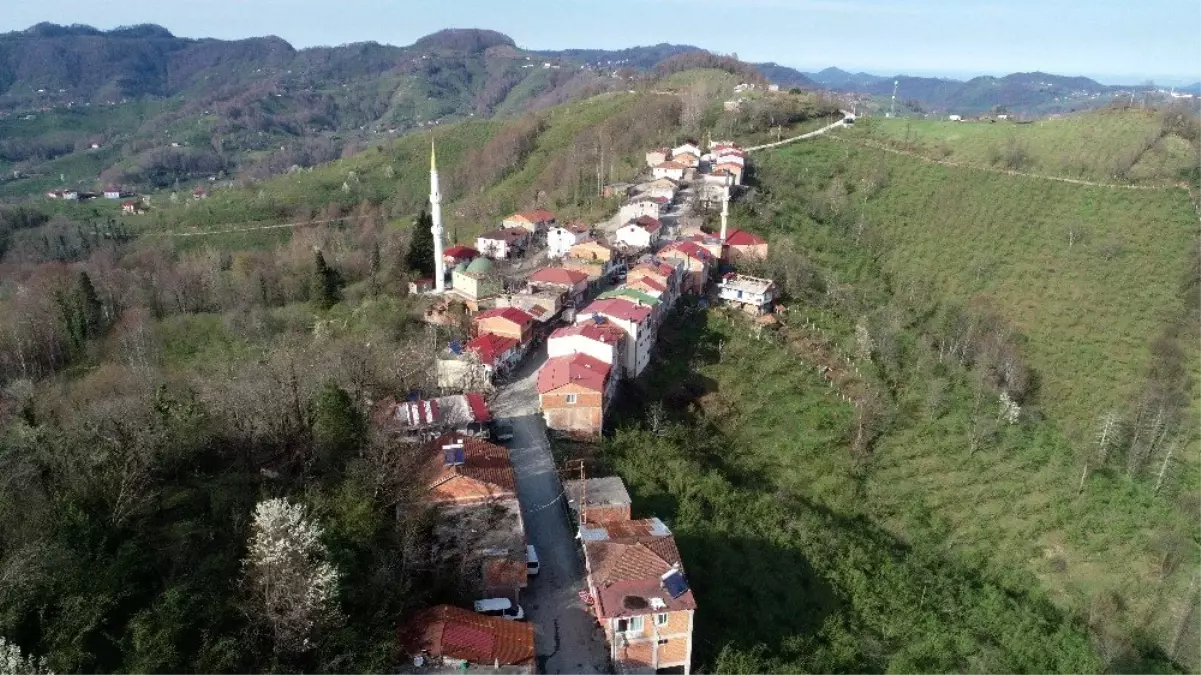 Seyahat yasağı, bu iki bölgede geçerli değil! Sebebi ise olaydan daha ilginç