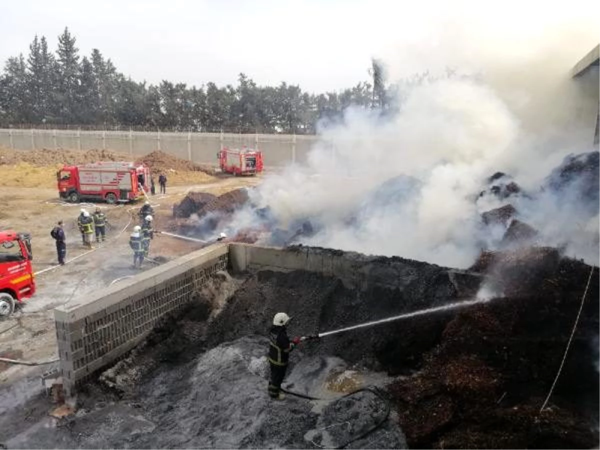 Adana\'da pamuk yağı fabrikasında yangın