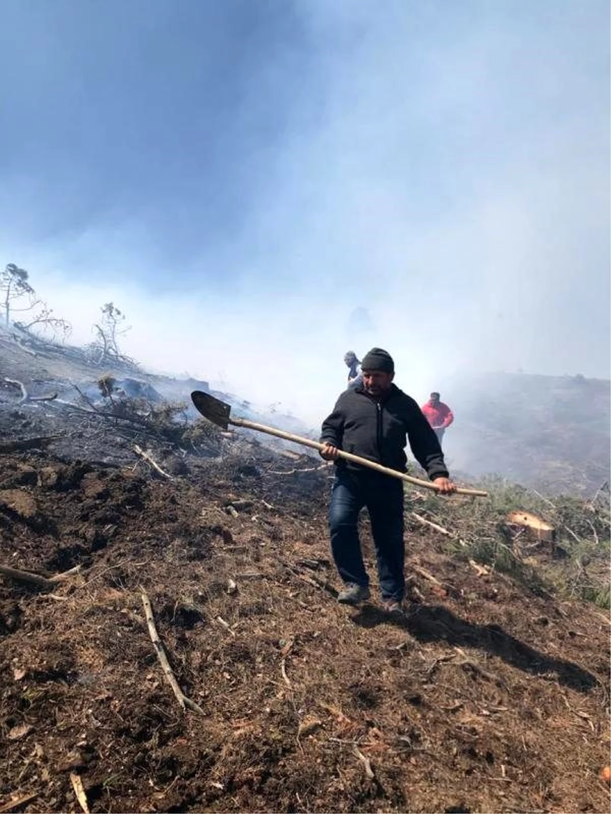 Burdur\'da orman yangını: 50 hektar zarar gördü