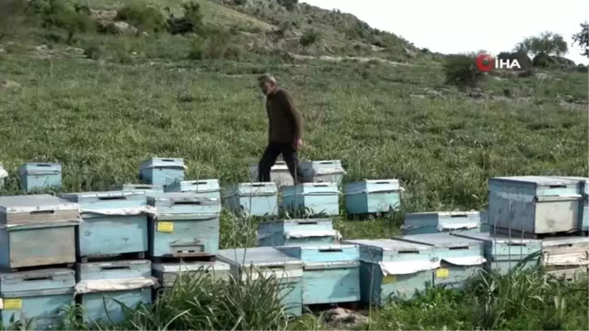 Çalınan kovanlarının bulunmasına değil, jandarmanın ilgisine sevindi