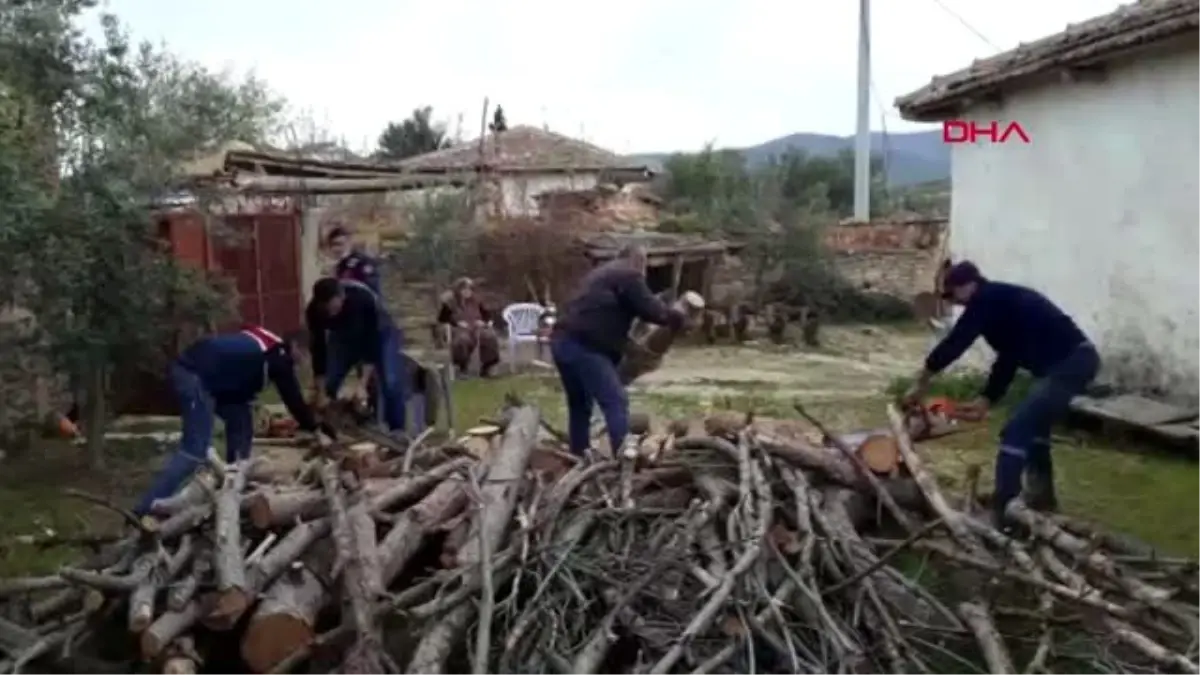 MANİSA Jandarma, şehit annesinin odunlarını kesti