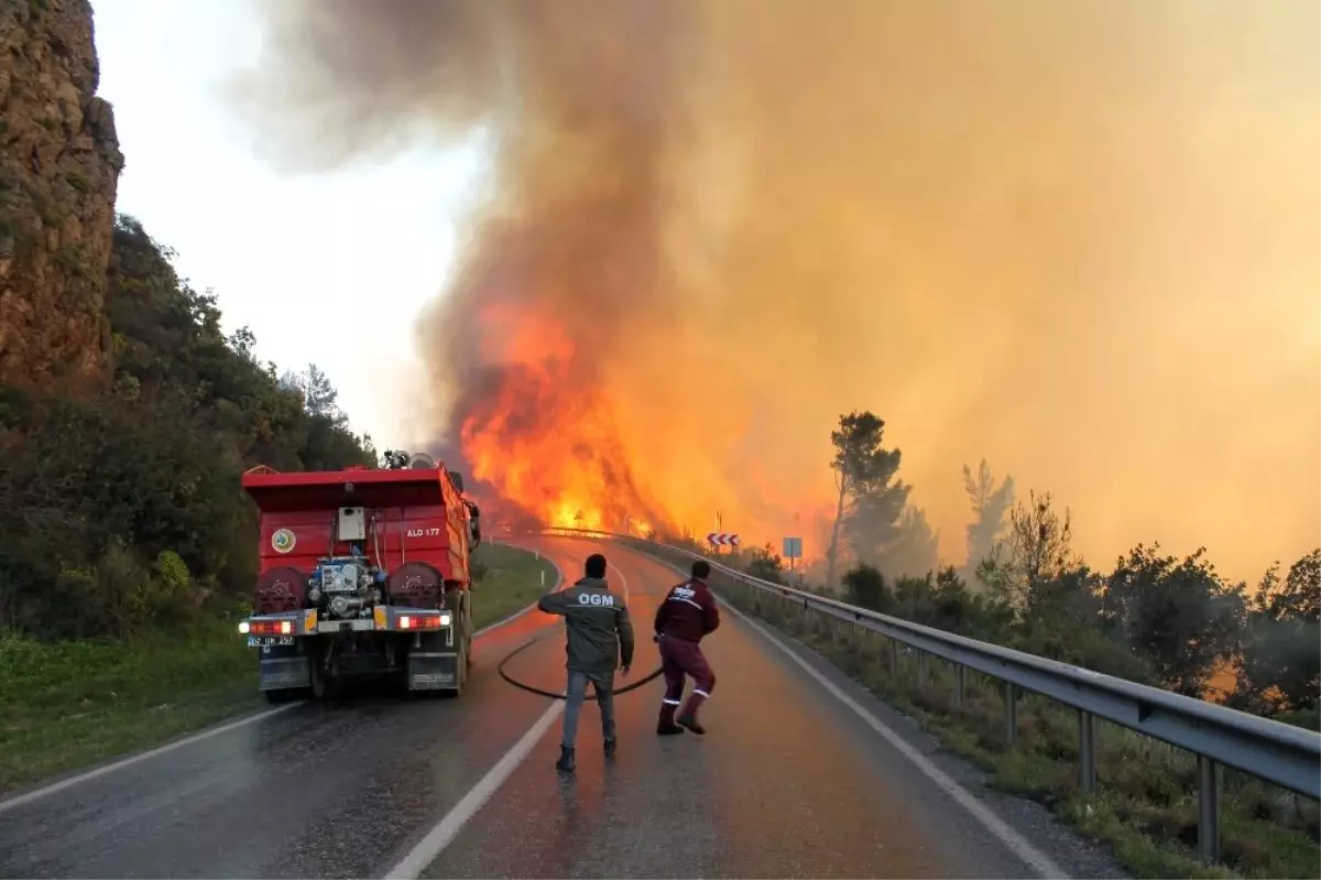 Orman yangınında 800 arı kovanı kül olan teyze gözyaşlarına boğuldu