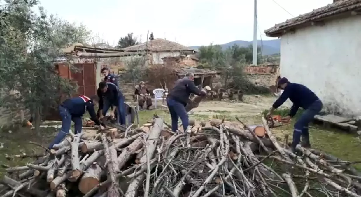 Şehit annesinin odunlarını jandarma kırdı