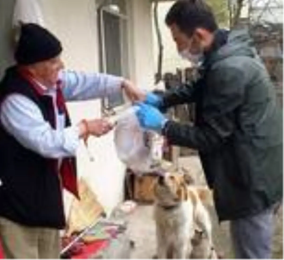 Anne köpeğe polis ekiplerinden yardım