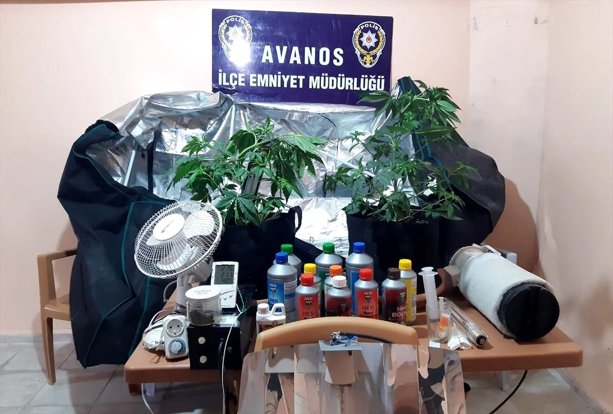 Avanos\'ta uyuşturucu operasyonu