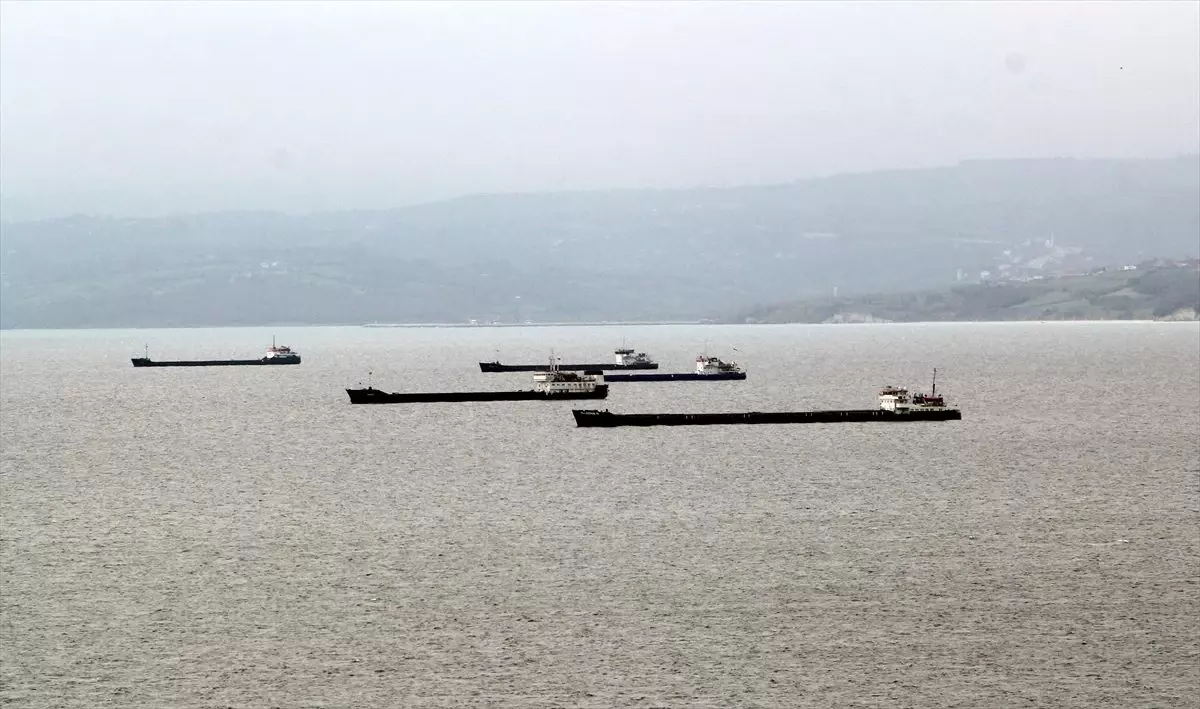 Fırtınadan kaçan yük gemileri Sinop Limanı\'na demirledi