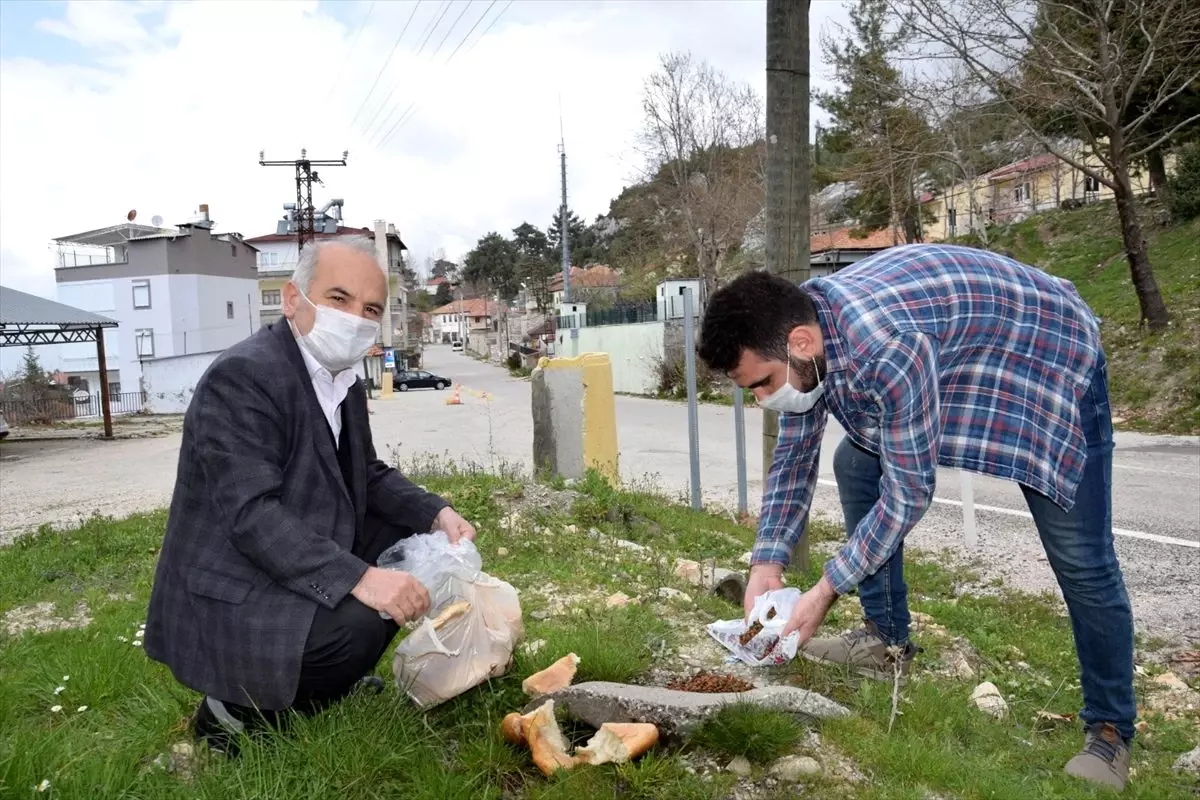 Kumluca\'da sokak hayvanlarına yiyecek bırakıldı