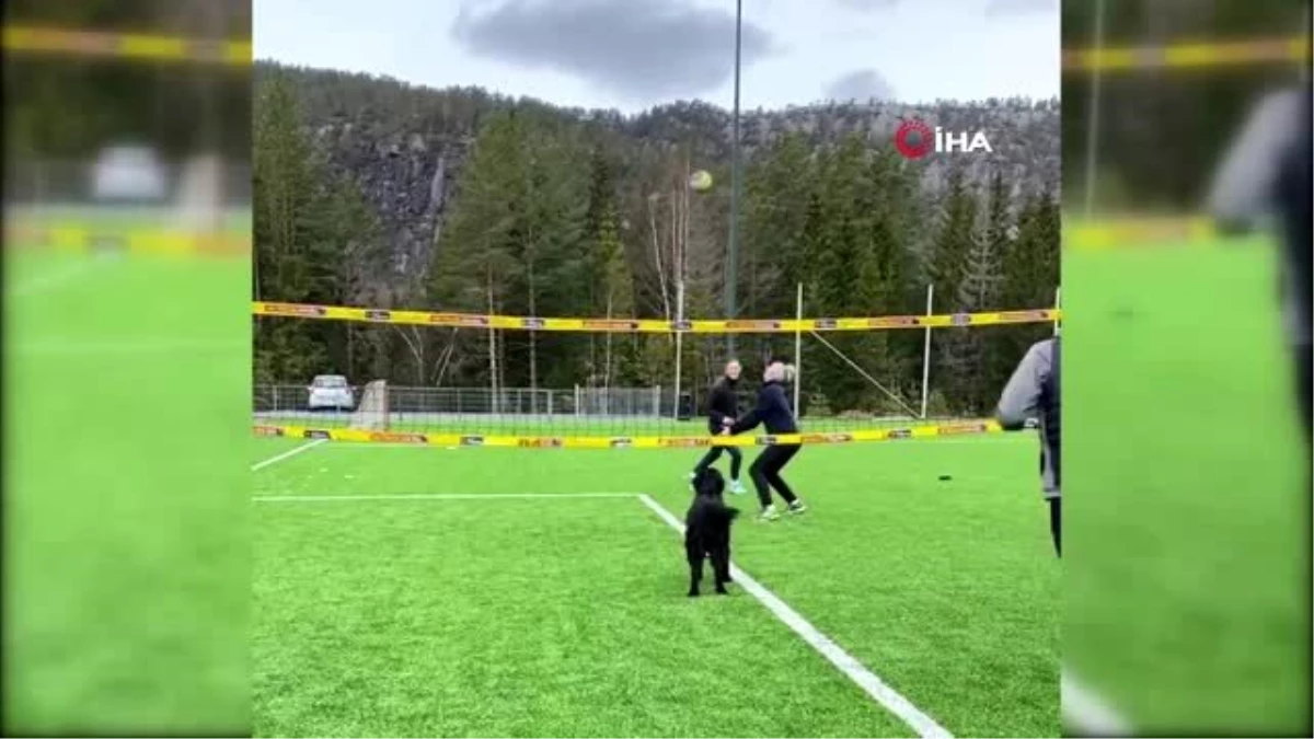 Norveçli voleybolcunun köpeğiyle antrenmanı hayran bıraktı