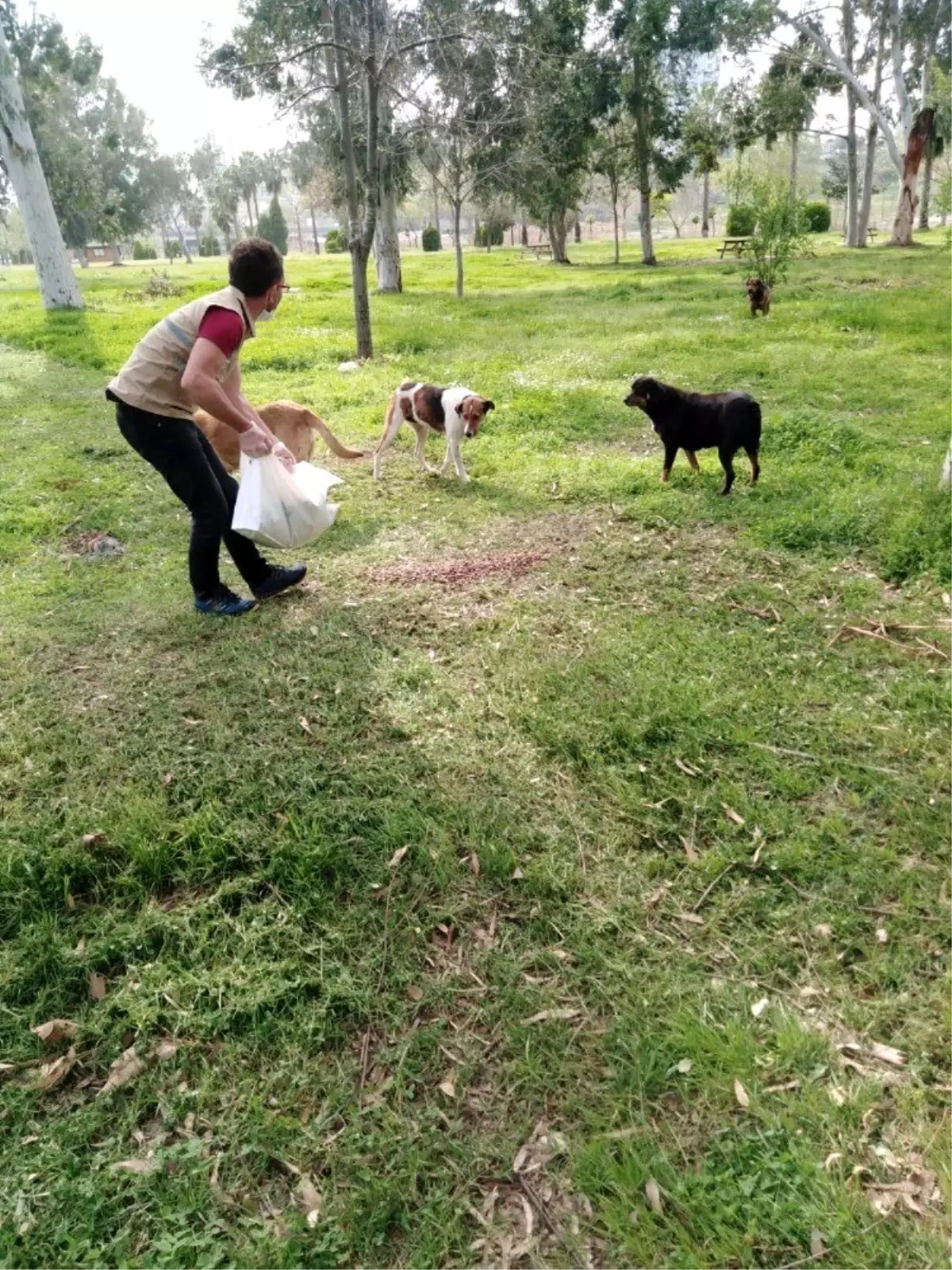 Sokaktaki canlar unutulmadı