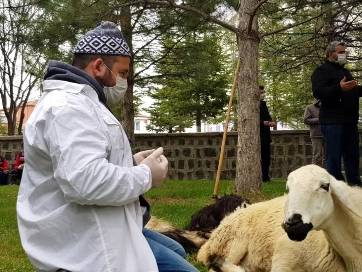 Virüsün defi için kurbanlar kesildi