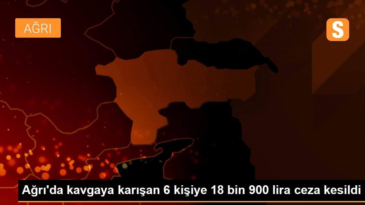 Ağrı\'da kavgaya karışan 6 kişiye 18 bin 900 lira ceza kesildi