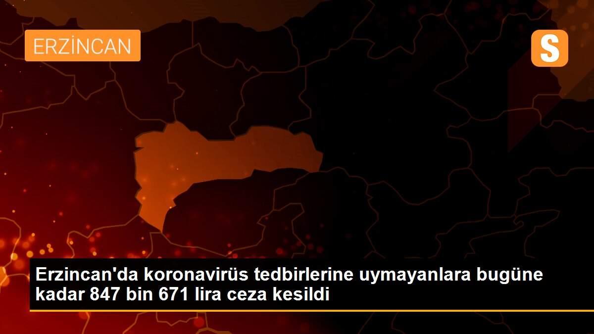 Erzincan\'da koronavirüs tedbirlerine uymayanlara bugüne kadar 847 bin 671 lira ceza kesildi