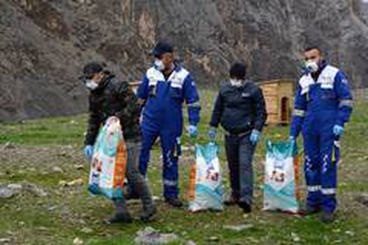 Hakkari\'de sokak hayvanları emin ellerde