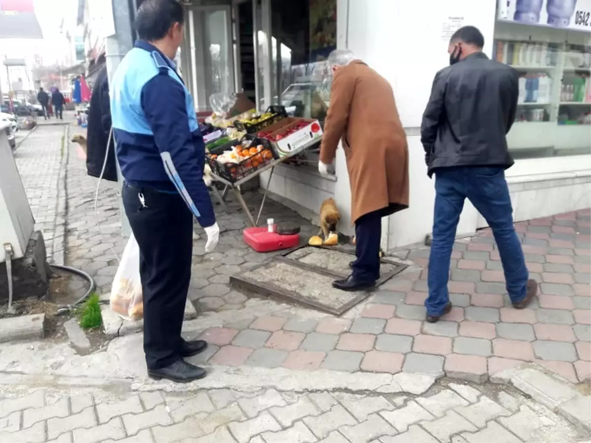 Başkan Altay, sokak hayvanlarını unutmadı