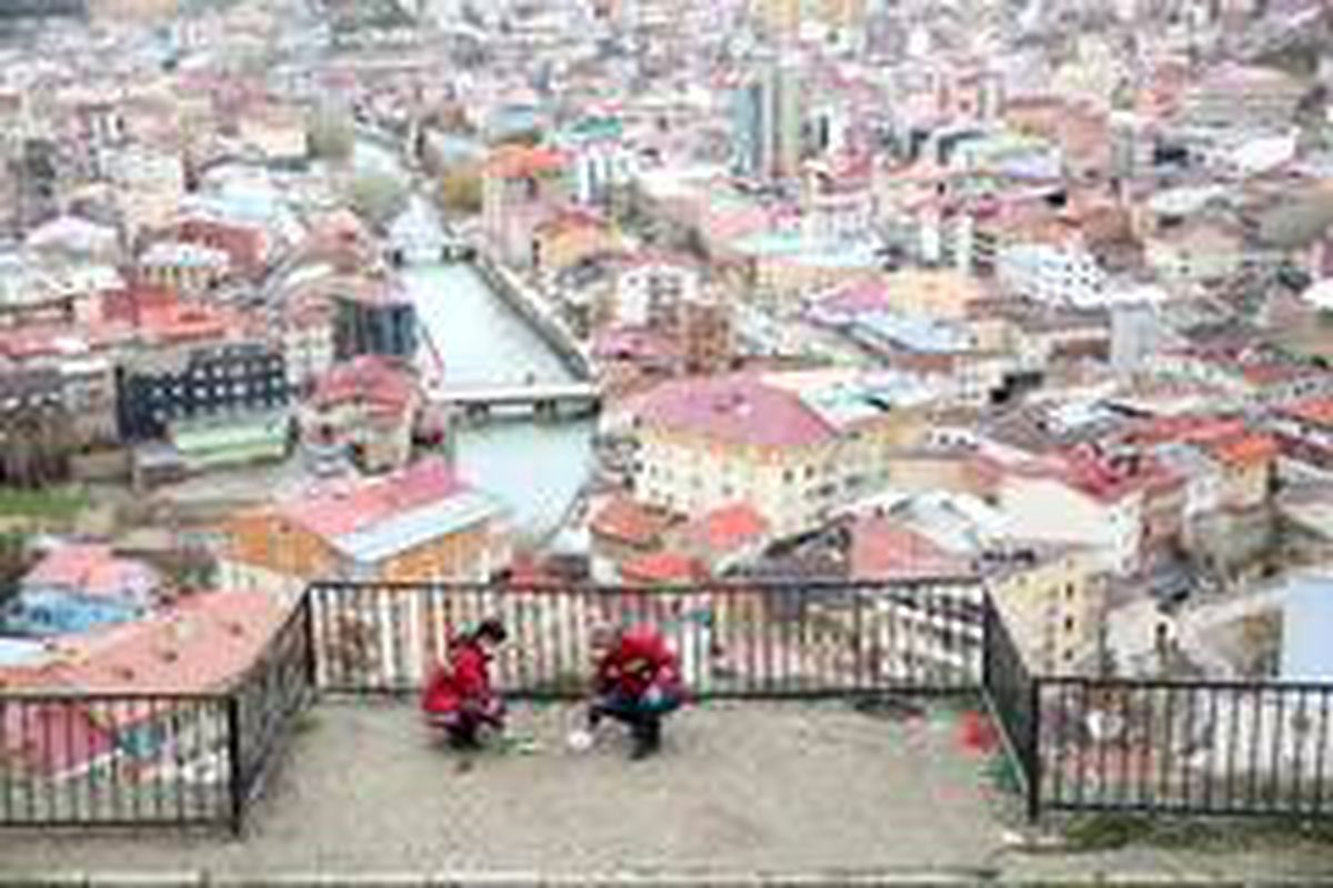 Bayburt\'ta sokak hayvanları için mama, yiyecek ve su bırakıldı