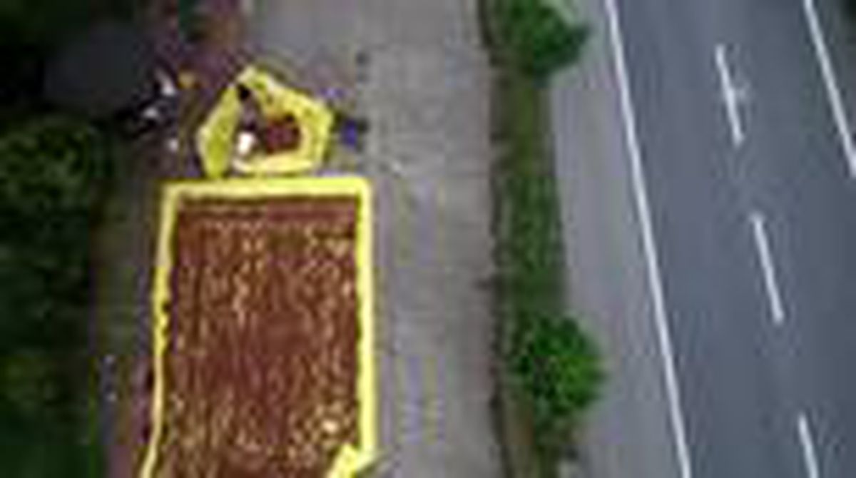 Karadeniz'de fındık tarımı ve ihracatının tarihsel serüveni