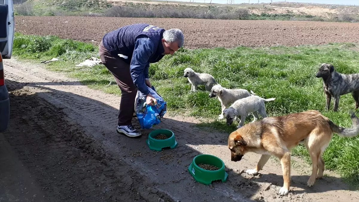 Tekirdağ\'dan kısa kısa