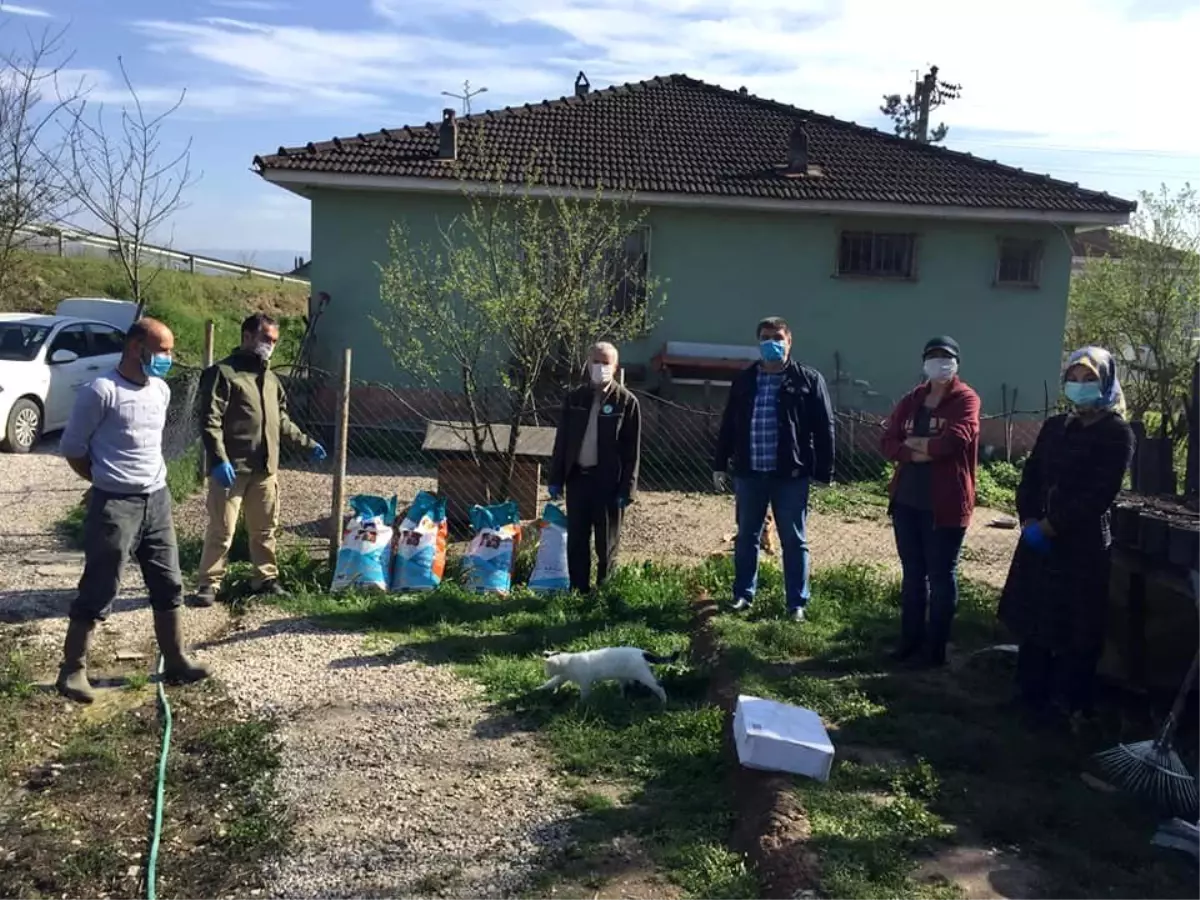 Üniversite bölgesinde hayvanlara mama dağıtıldı