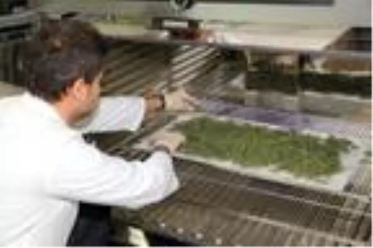 \'COVİD-19 Türkiye Web Portalı\'na tarımsal destek