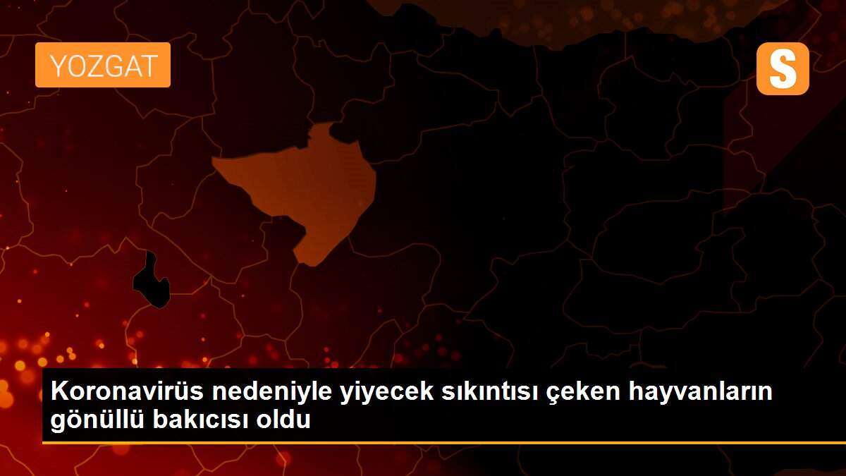 Koronavirüs nedeniyle yiyecek sıkıntısı çeken hayvanların gönüllü bakıcısı oldu
