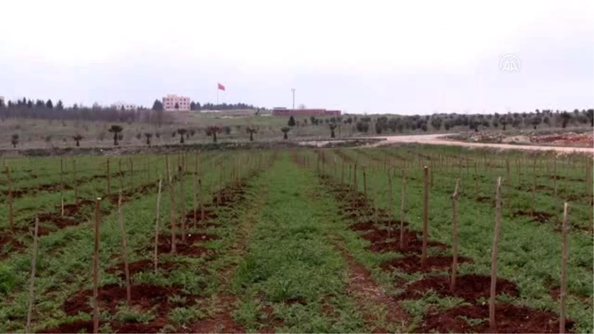 Üniversitenin ipek böcekçiliği projesi öğrencilere burs kazandıracak