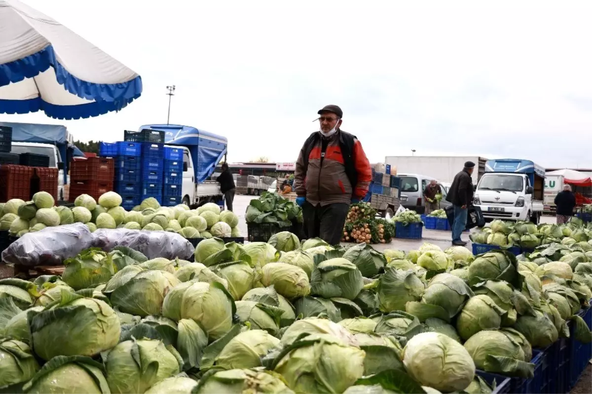 Ürün bolluğu yaşanan Antalya halinden Türkiye\'ye sebze meyve sevkıyatı tam gaz devam ediyor