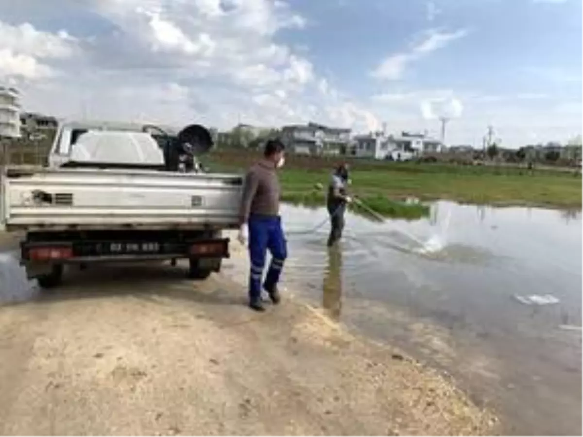 Adıyaman\'da temizlik ekipleri ilaçlama çalışması yaptı