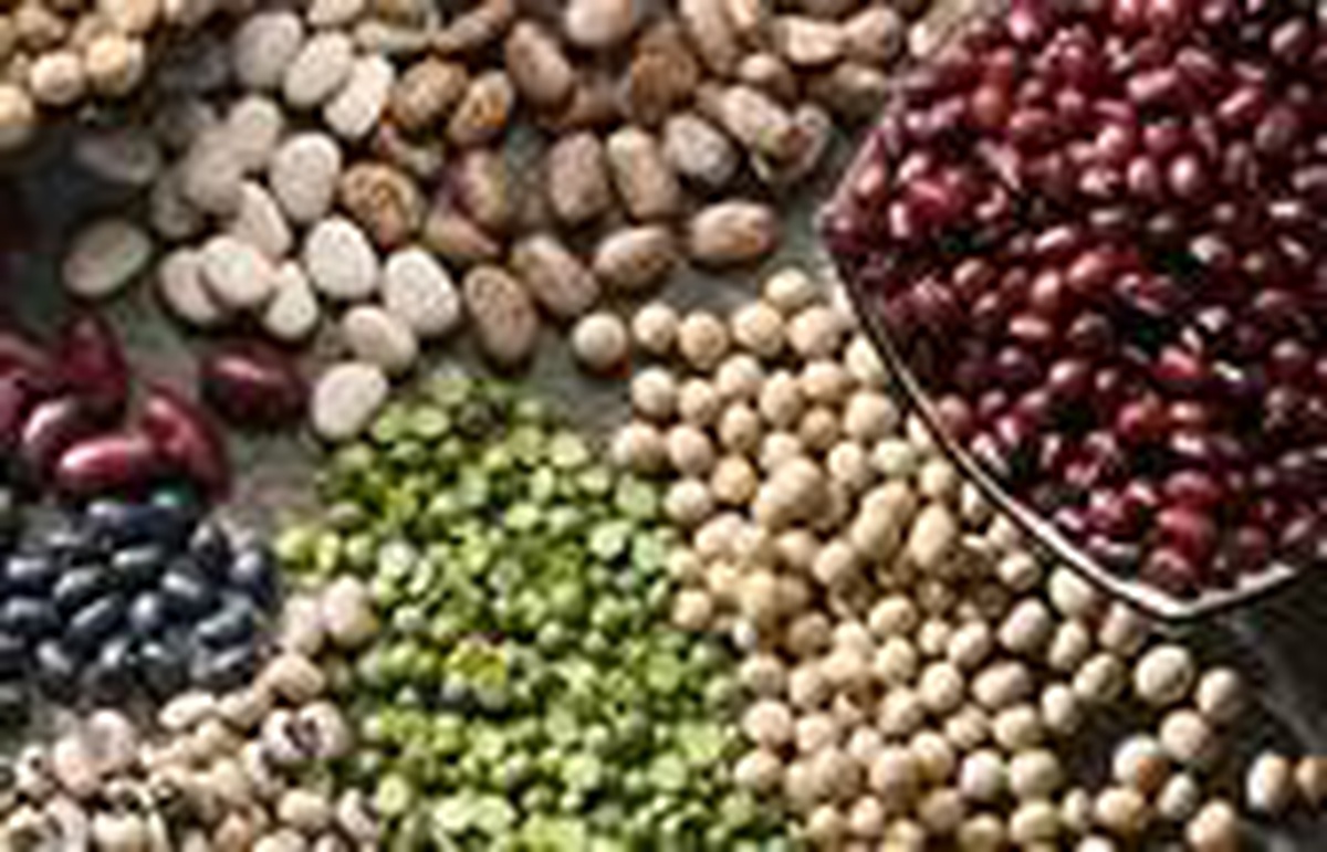 Artan talep Yayla Agro’yu kesintisiz üretime geçirdi