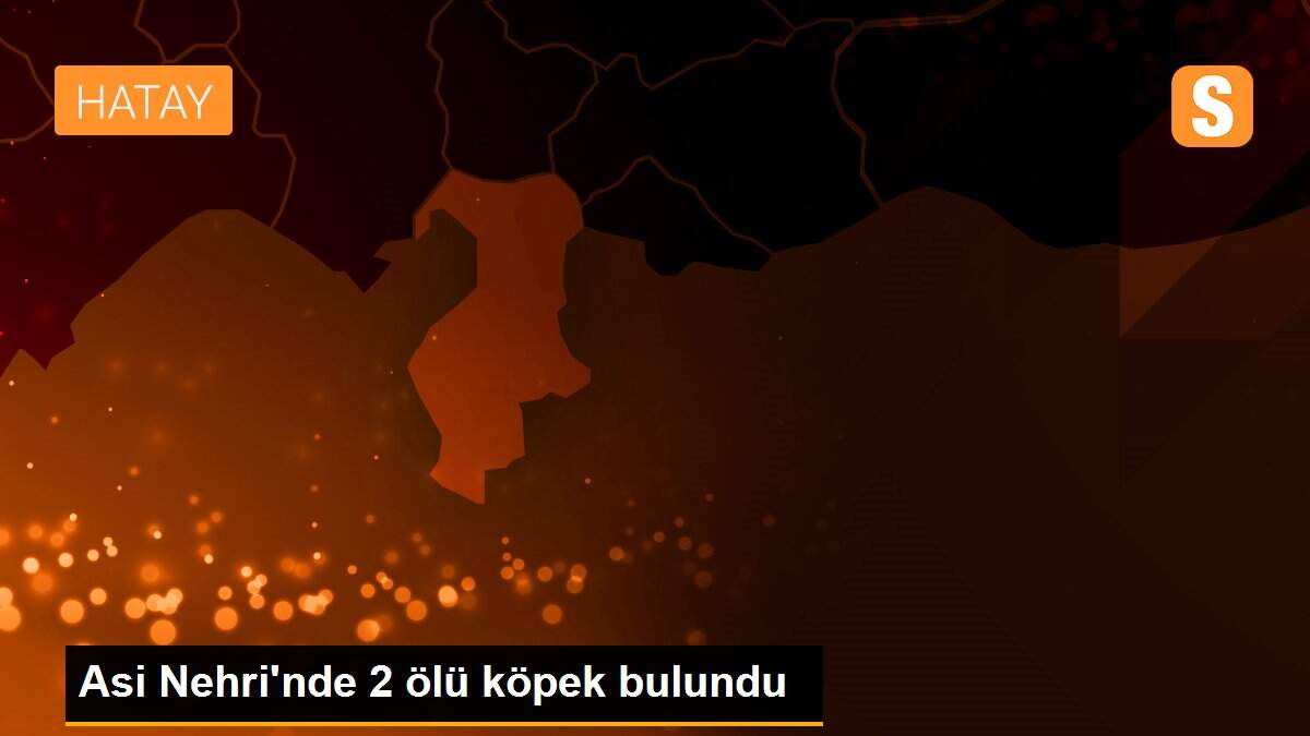 Asi Nehri\'nde 2 ölü köpek bulundu