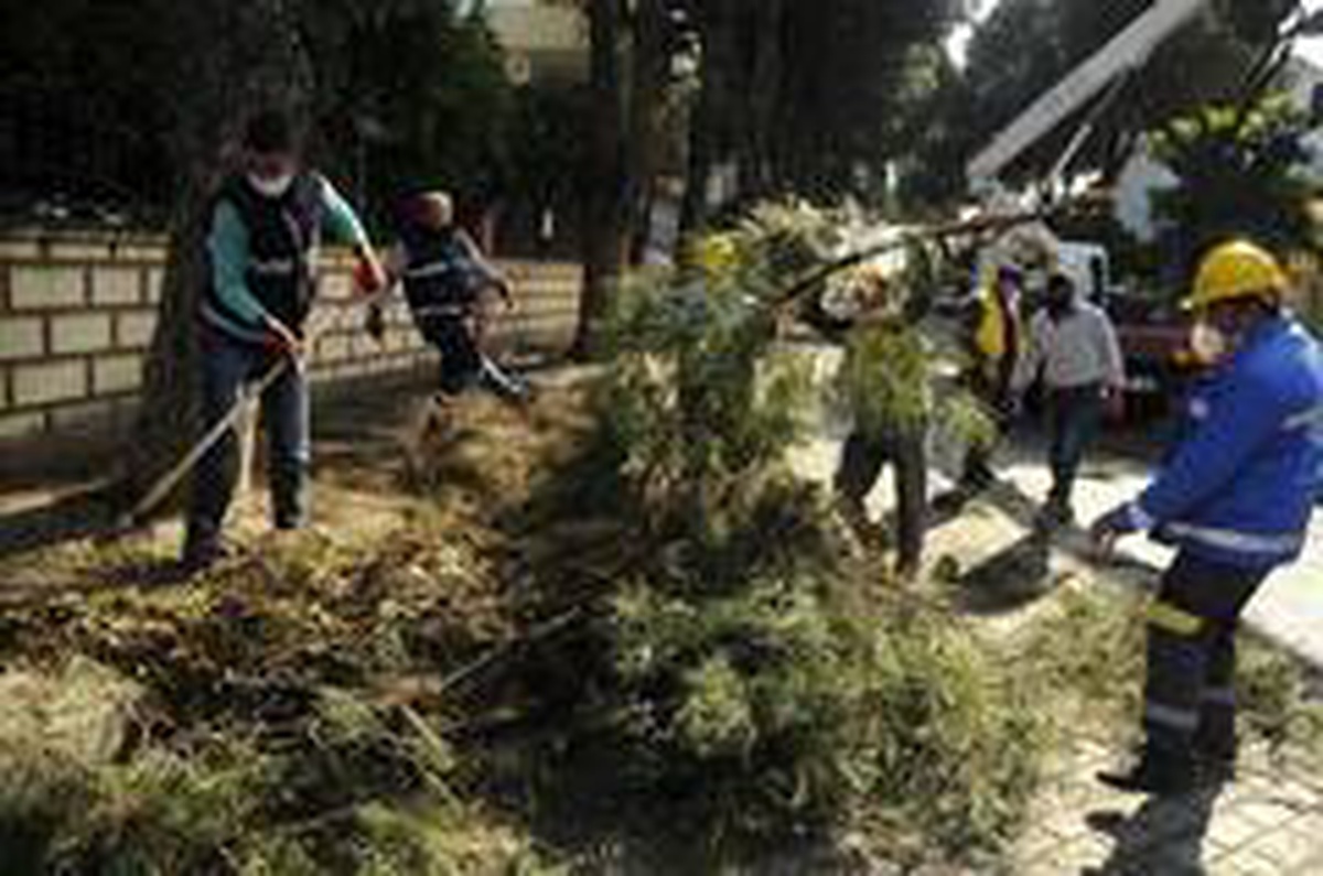 Aydın Büyükşehir ve Nazilli Belediyesi\'nden ortak çalışma