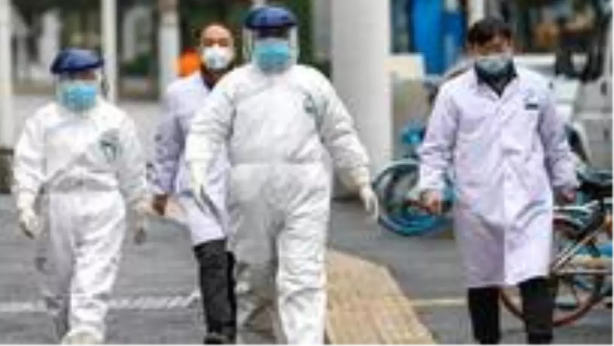 Korkutan Araştırma: Vakaların Sadece Yüzde 6\'sını Biliyoruz