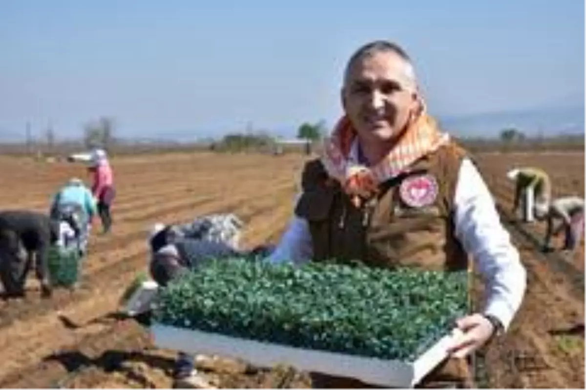 Tarımsal ürün alanlarına yerinde inceleme