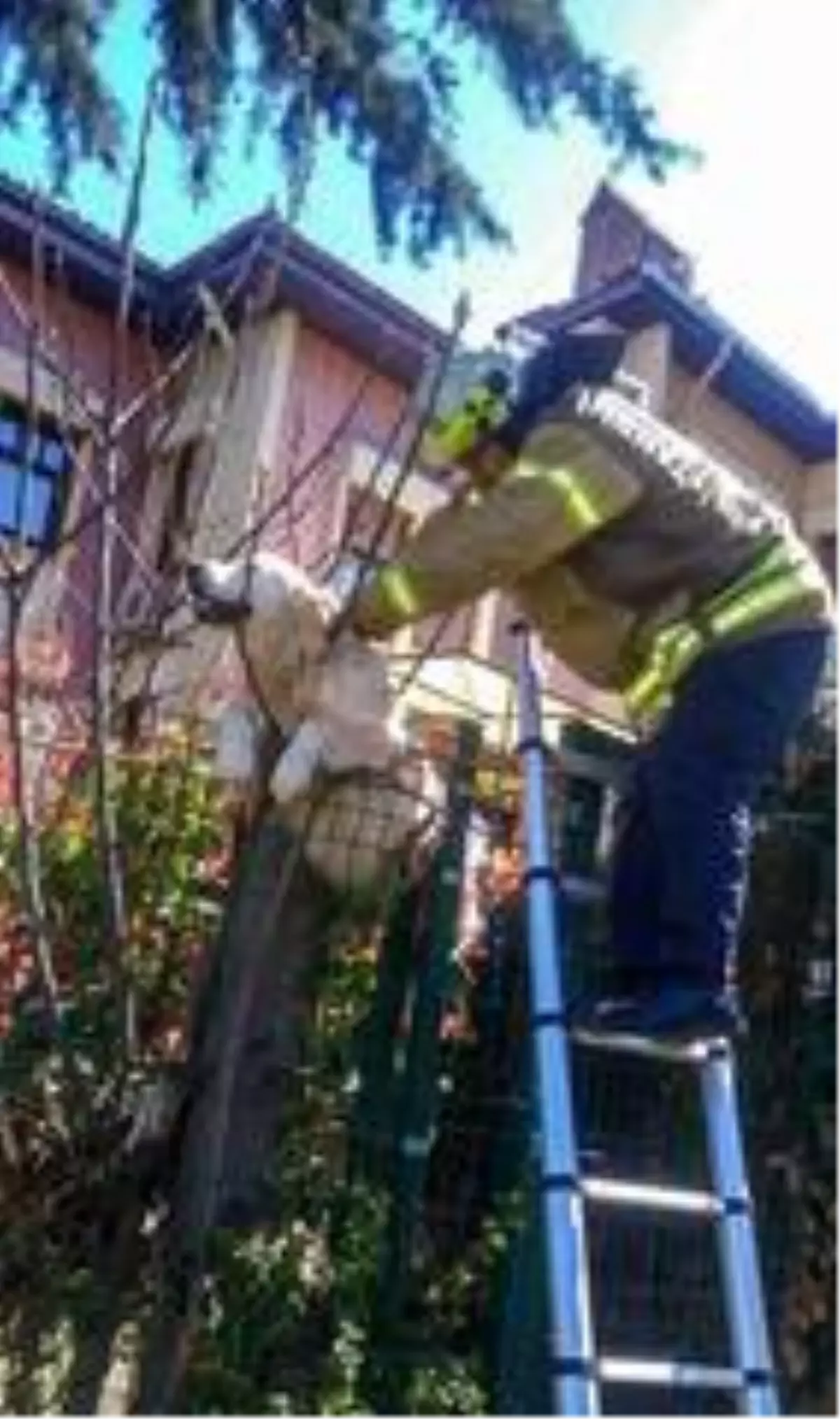 Villanın çitlerine takılan köpeğin yardımına itfaiye ekipleri yetişti