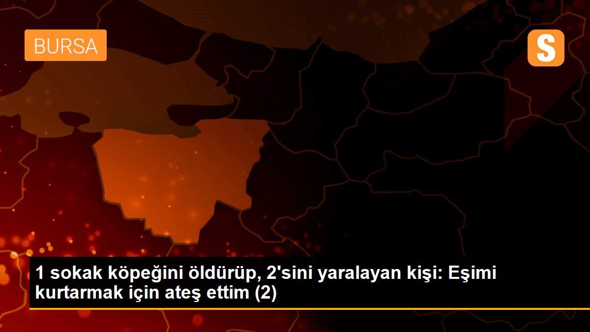 1 sokak köpeğini öldürüp, 2\'sini yaralayan kişi: Eşimi kurtarmak için ateş ettim (2)