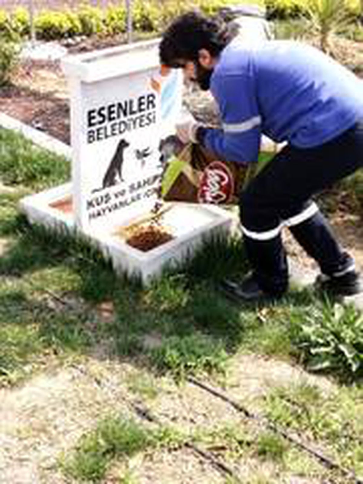 Esenler\'de sokak hayvanları unutulmadı