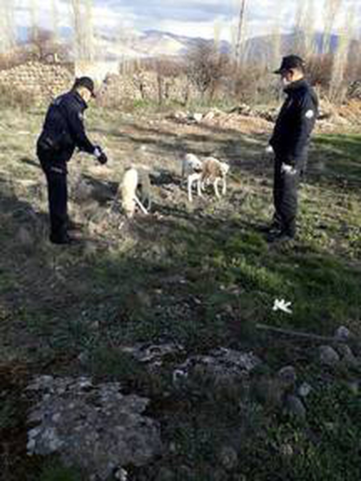Niğde polisi sokak hayvanlarını unutmadı