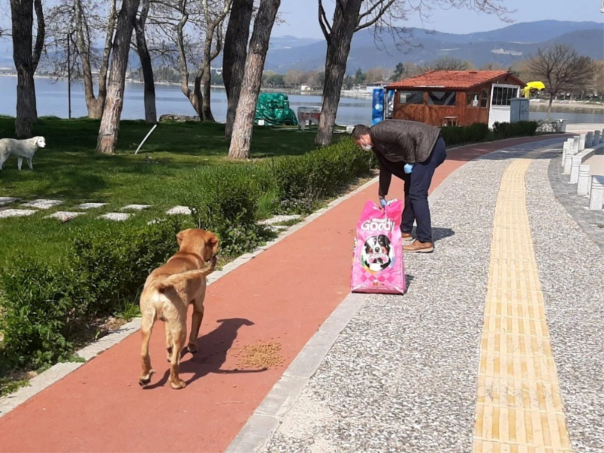 Başkan, sokak hayvanları için çağrıda bulunan vatandaşa özel aracı ile mama götürdü