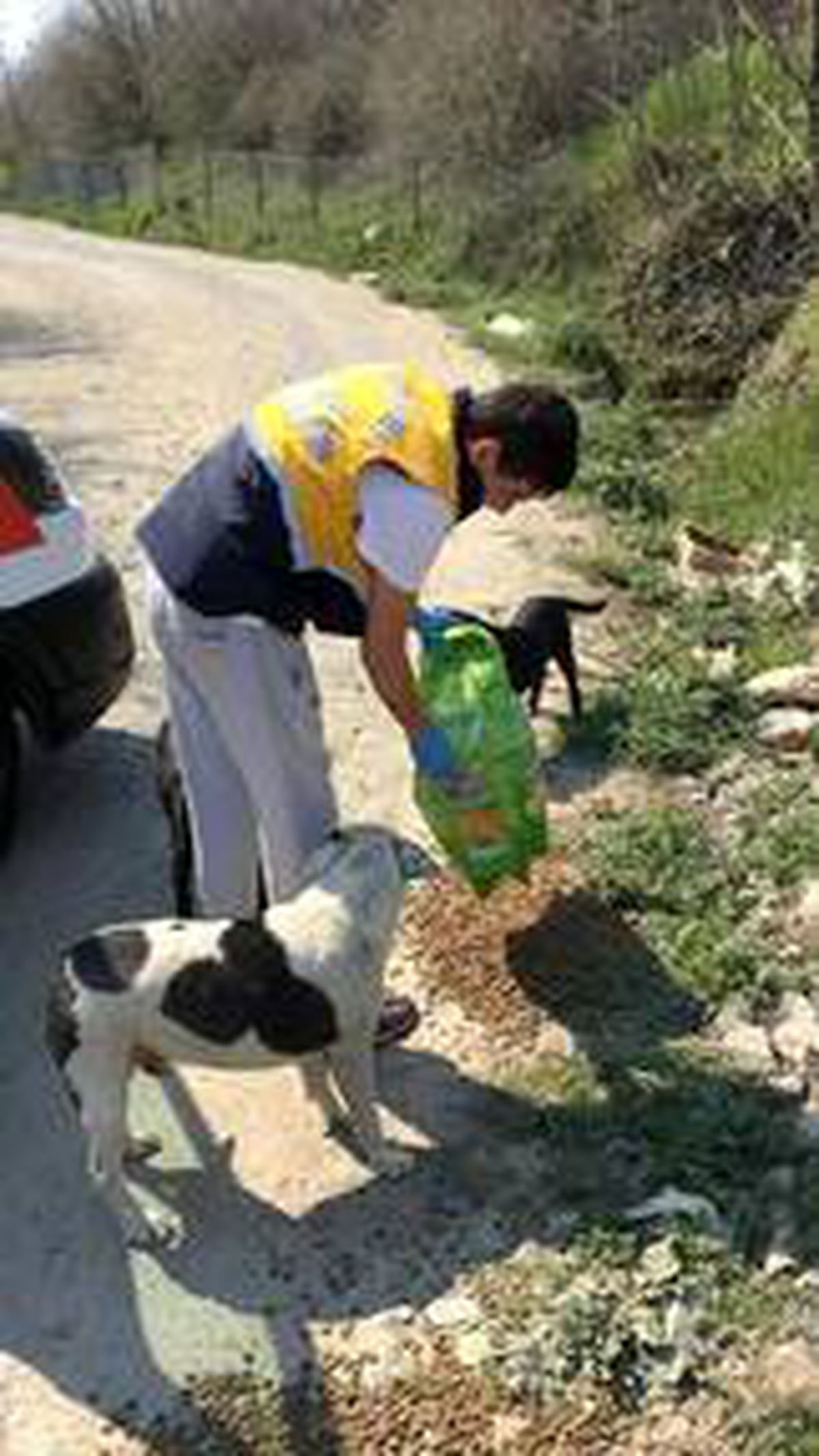 Eyüpsultan Belediyesi kırsaldaki sahipsiz köpekleri de unutmadı