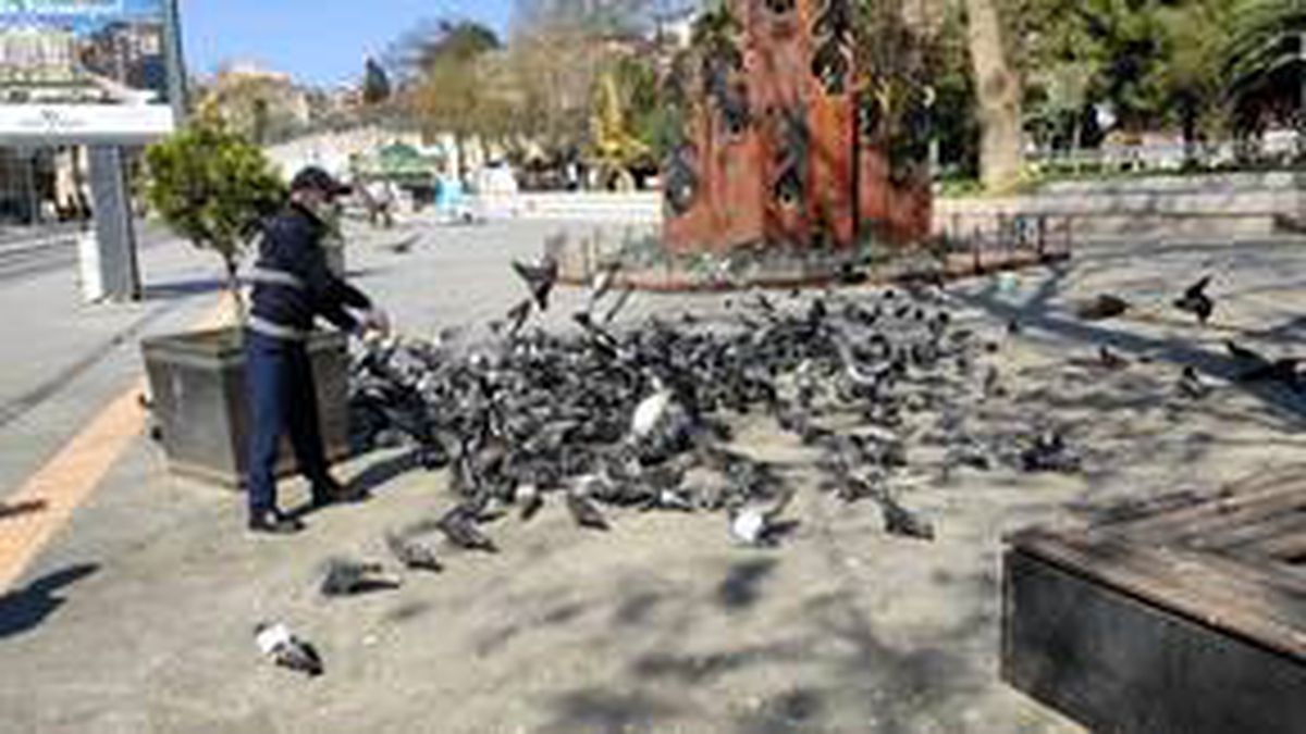 Kocaeli\'de sokak hayvanları unutulmadı