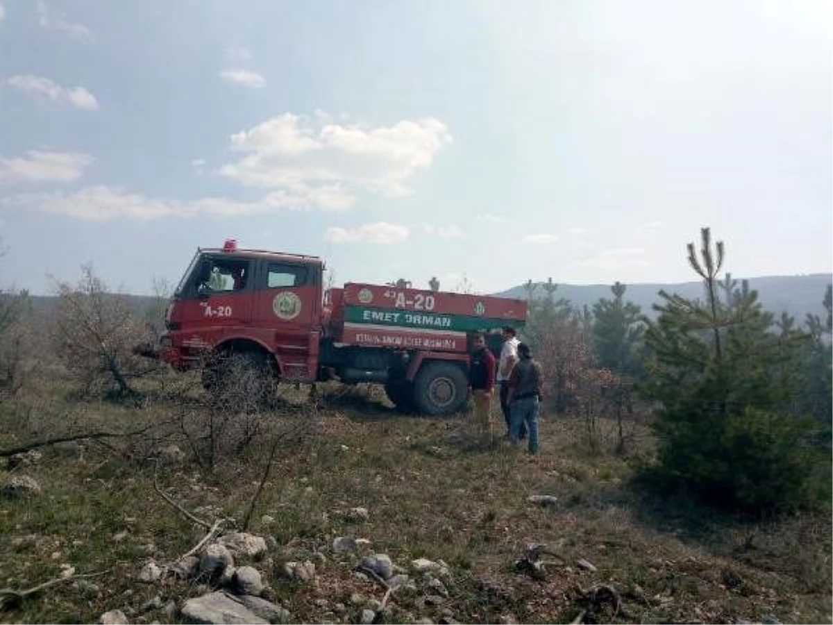 Kütahya\'da 50 dönüm karaçam ormanı yandı