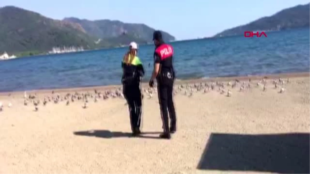 Marmaris\'te güvercinleri, polis ekipleri besledi