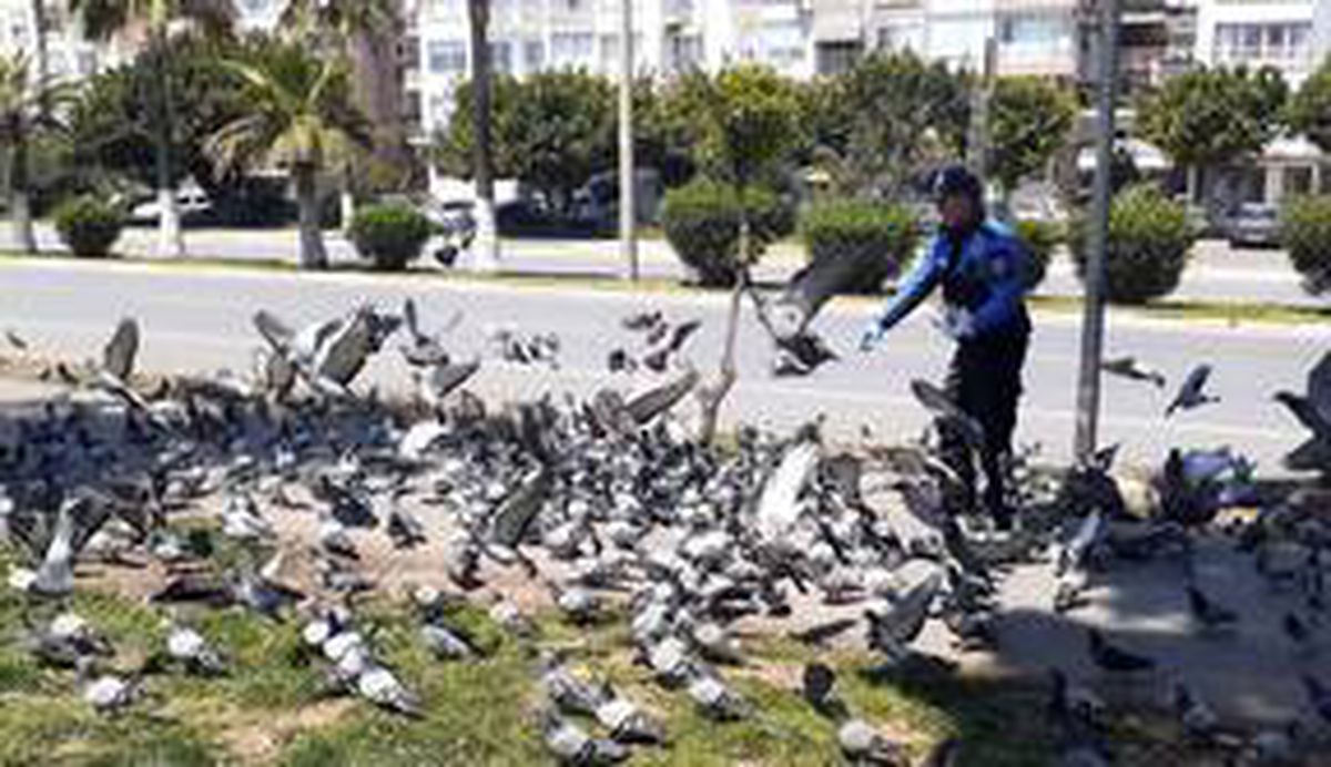 Mersin\'de sokak hayvanları unutulmadı