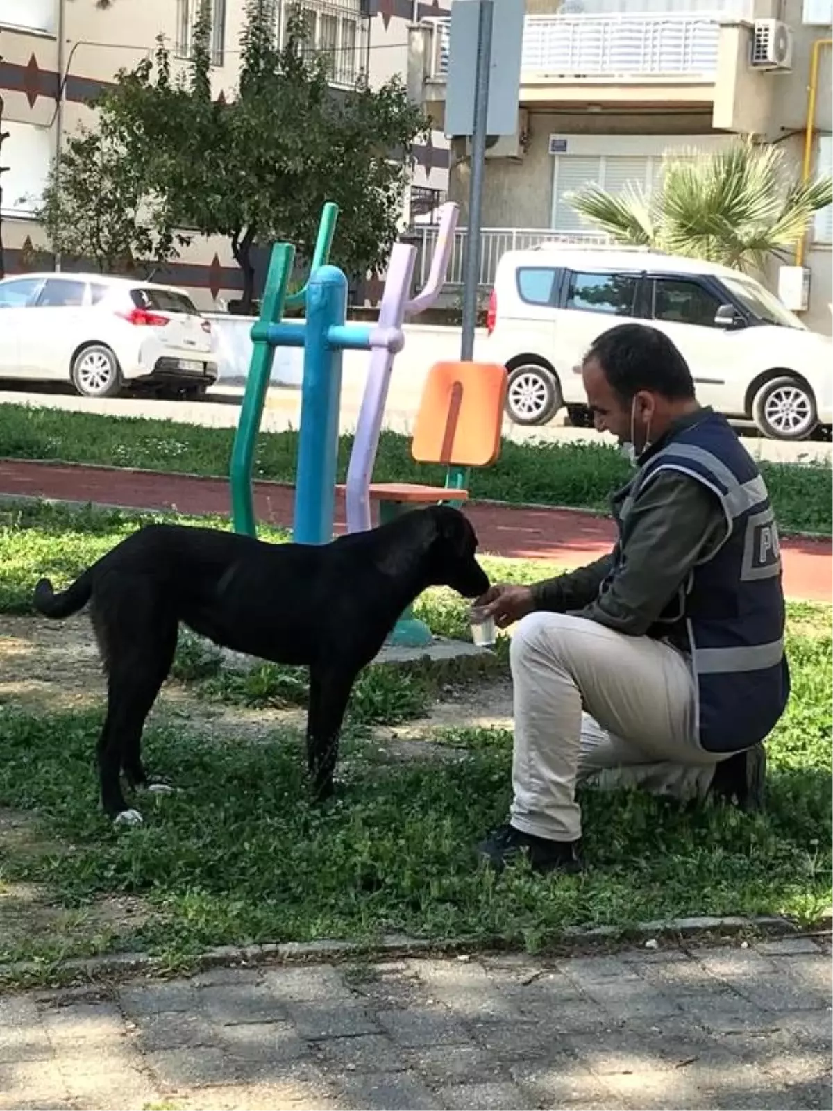 Polis memuru, susayan köpeğe elleriyle su içirdi