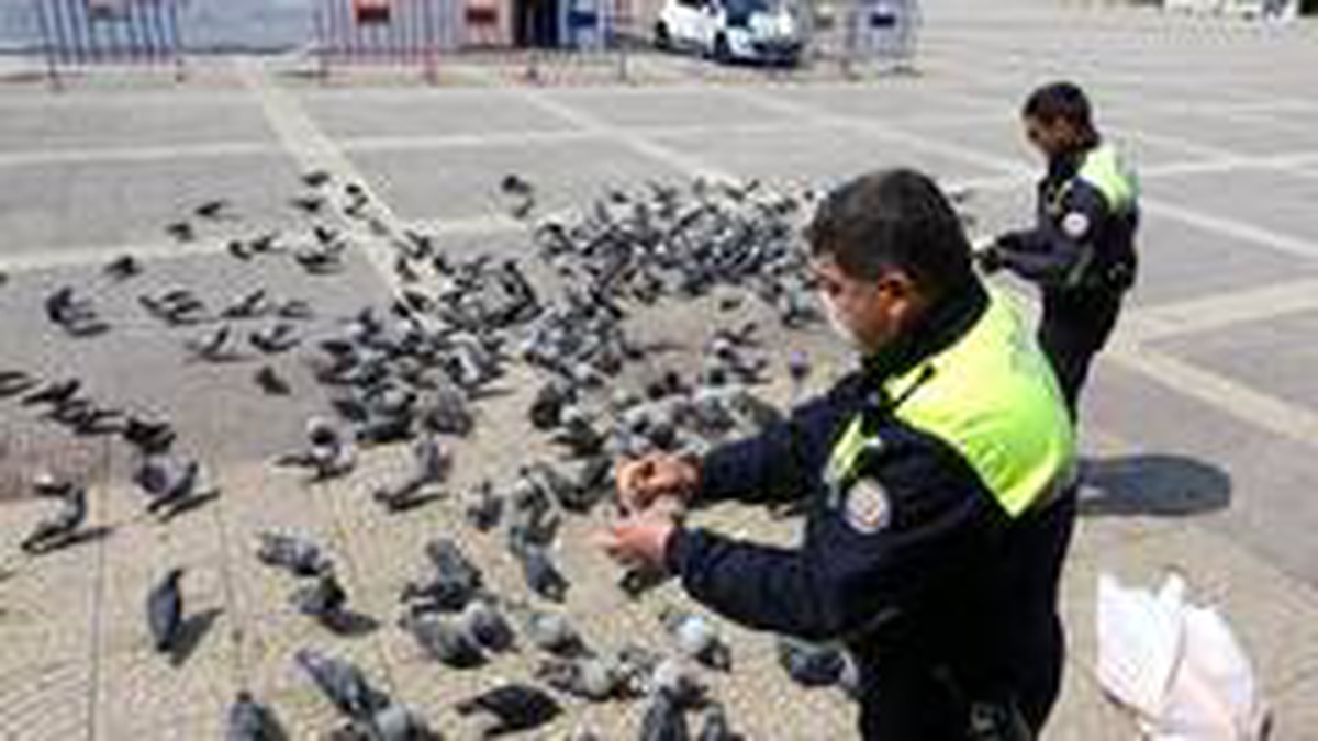 Samsun\'da aç kalan güvercinleri polisler besledi