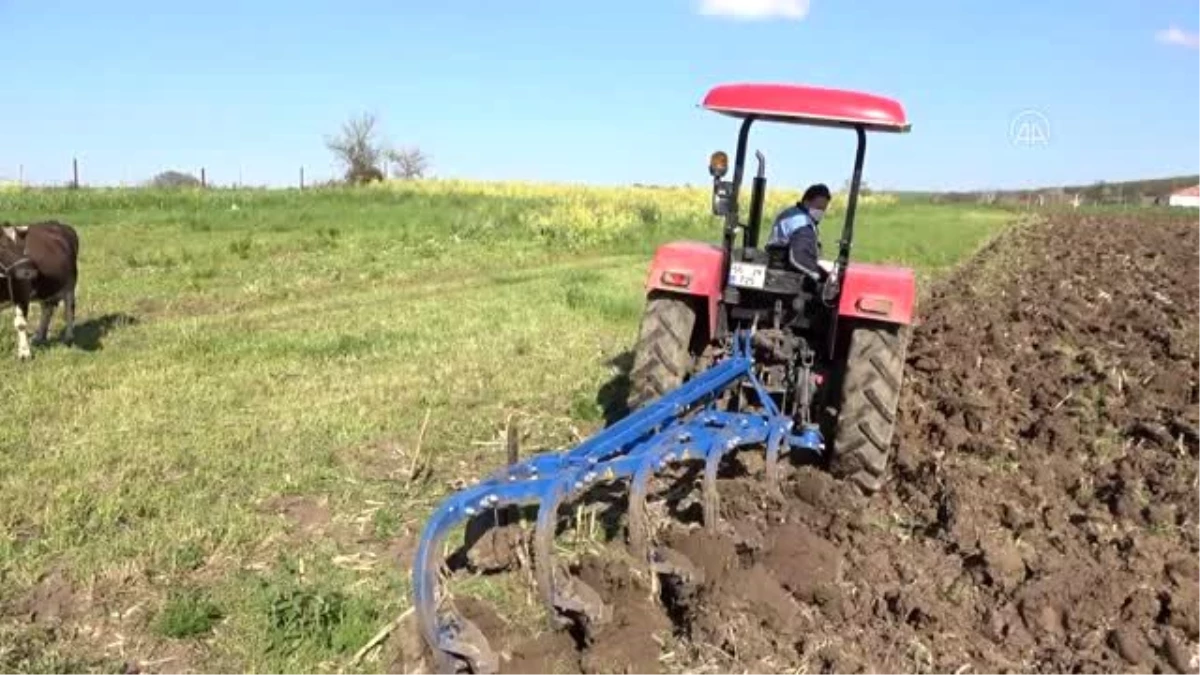 Zabıta, yasak nedeniyle dışarı çıkamayan çiftçinin tarlasını sürdü