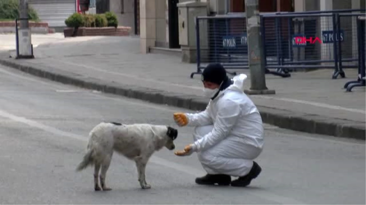 ZONGULDAK Sokak köpeğini elleriyle besledi